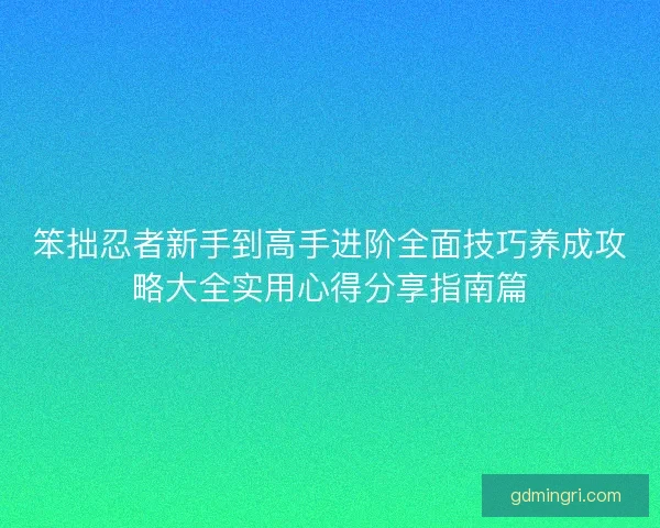 笨拙忍者新手到高手进阶全面技巧养成攻略大全实用心得分享指南篇